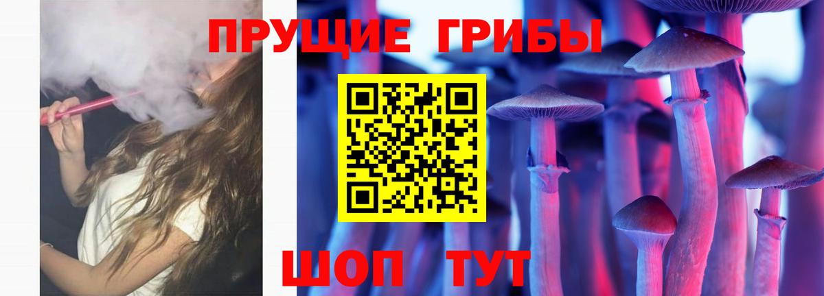 Псилоцибиновые грибы MAGIC MUSHROOMS  Вход с VPN  Соликамск  Псилоцибиновые грибы ЛСД 